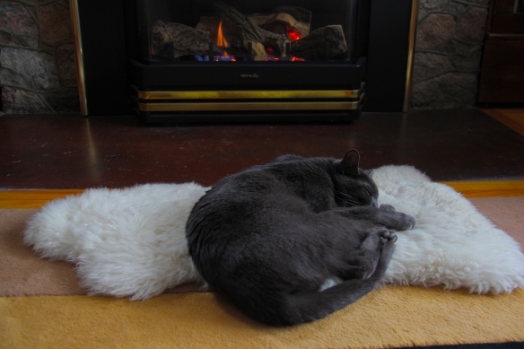Me and Rens snuggling in front of the fire.